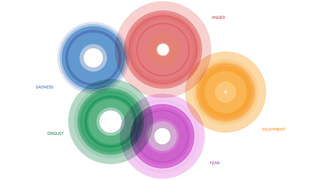 Visualize Your Emotions Based on Psychology and the Dalai Lama's Insight